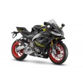 RS 660 PIAGGIO GROUP